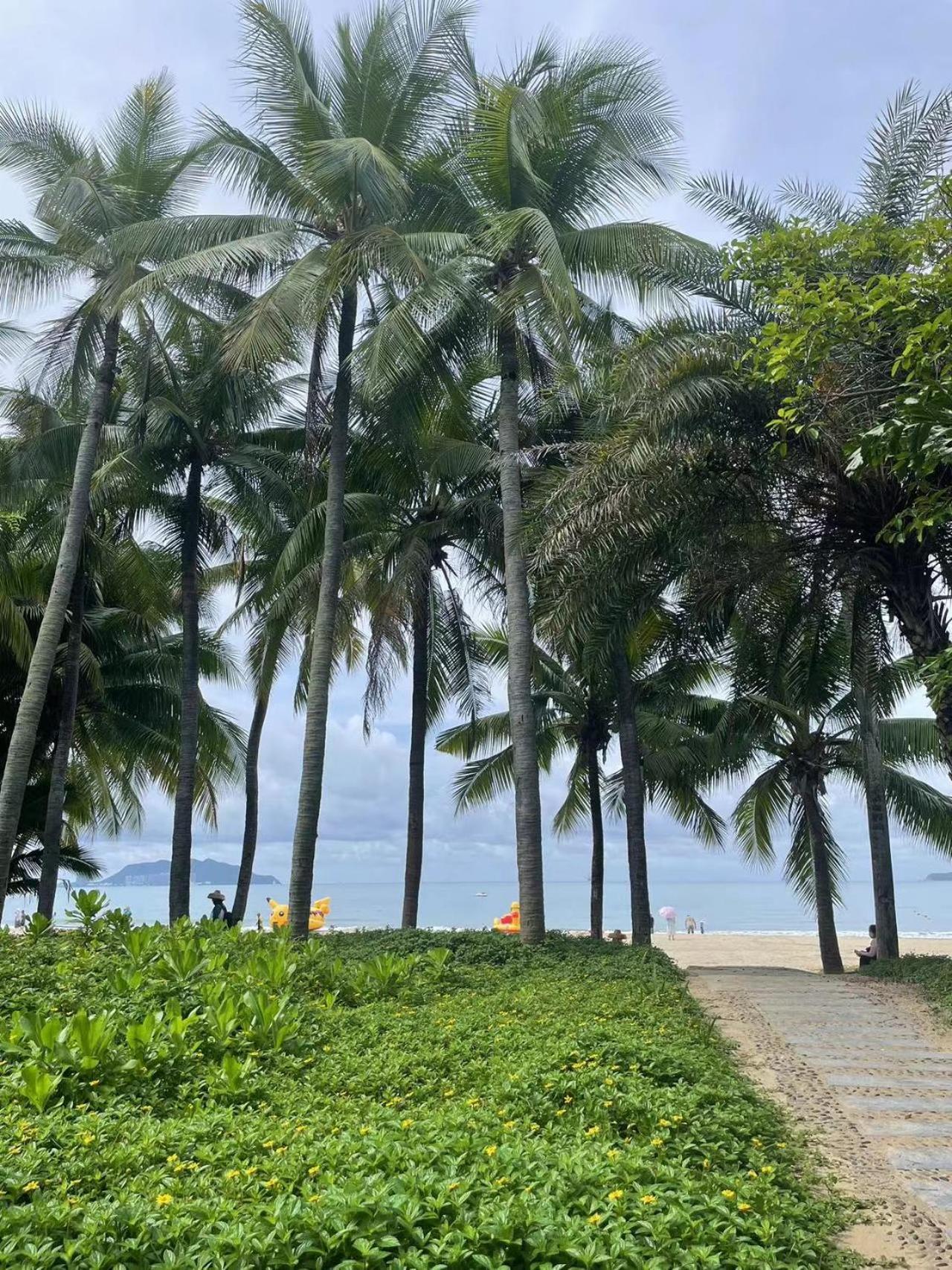 Sanya Tropical Coast Hotel Dış mekan fotoğraf