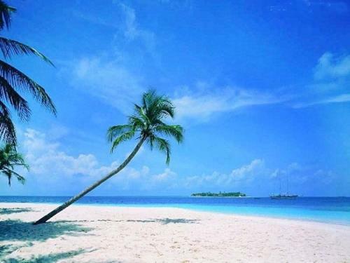 Sanya Tropical Coast Hotel Dış mekan fotoğraf
